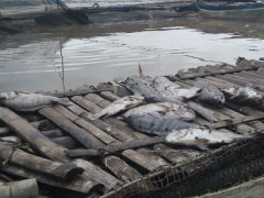 Ảnh bìa bài viết 469016