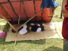 Ảnh bìa bài viết 469151
