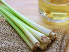Ảnh bìa bài viết 469196
