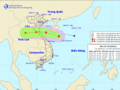 Ảnh bìa bài viết 469554