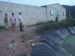 Ảnh bìa bài viết 469499