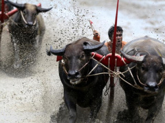 Ảnh bìa bài viết 469526