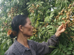 Ảnh bìa bài viết 469412