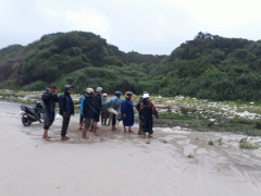 Ảnh bìa bài viết 469846