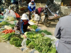 Ảnh bìa bài viết 469771