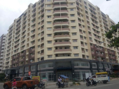 Ảnh bìa bài viết 469631
