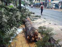 Ảnh bìa bài viết 470058
