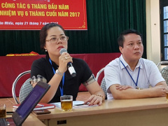 Ảnh bìa bài viết 469999