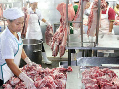 Ảnh bìa bài viết 470265