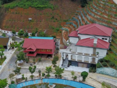 Ảnh bìa bài viết 470332