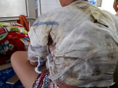 Ảnh bìa bài viết 470556