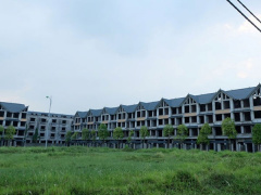 Ảnh bìa bài viết 470446