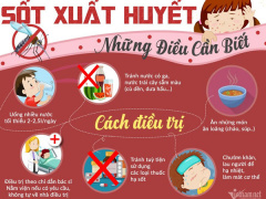 Ảnh bìa bài viết 470383