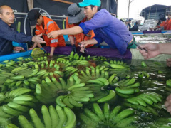 Ảnh bìa bài viết 471298