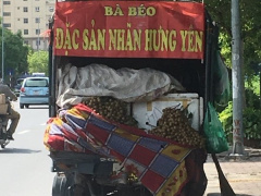 Ảnh bìa bài viết 471533