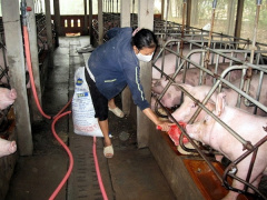 Ảnh bìa bài viết 471779