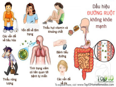 Ảnh bìa bài viết 471856