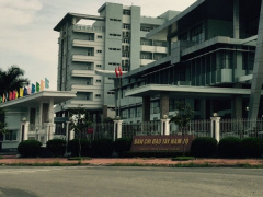 Ảnh bìa bài viết 471839