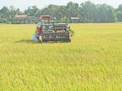 Ảnh bìa bài viết 471799