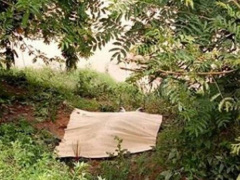 Ảnh bìa bài viết 472192