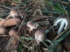 Ảnh bìa bài viết 472338