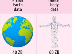 Ảnh bìa bài viết 472537