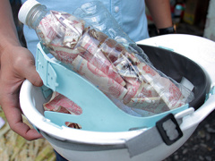 Ảnh bìa bài viết 472630