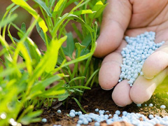 Ảnh bìa bài viết 472830