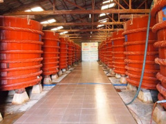 Ảnh bìa bài viết 472814