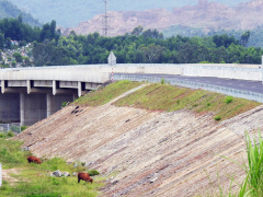 Ảnh bìa bài viết 472944