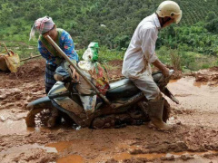 Ảnh bìa bài viết 472795