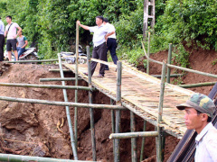 Ảnh bìa bài viết 472866