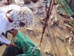 Ảnh bìa bài viết 473156