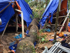 Ảnh bìa bài viết 473504