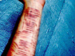 Ảnh bìa bài viết 473470