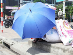 Ảnh bìa bài viết 473382