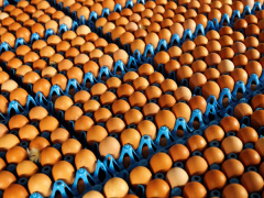 Ảnh bìa bài viết 473764