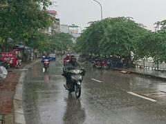 Ảnh bìa bài viết 473513