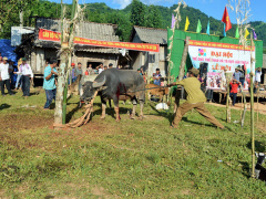 Ảnh bìa bài viết 473636