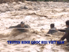 Ảnh bìa bài viết 473573