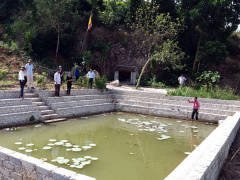Ảnh bìa bài viết 473991
