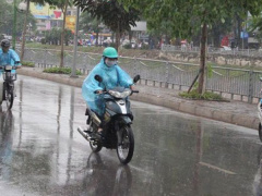 Ảnh bìa bài viết 473782