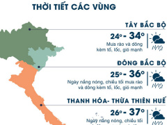 Ảnh bìa bài viết 473788