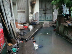 Ảnh bìa bài viết 474130