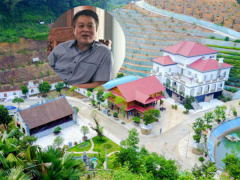 Ảnh bìa bài viết 474202