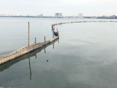 Ảnh bìa bài viết 474648