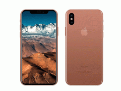 Ảnh bìa bài viết 474622