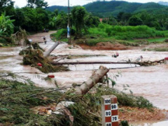 Ảnh bìa bài viết 474666