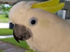 Ảnh bìa bài viết 474435