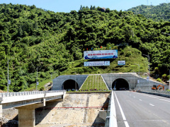 Ảnh bìa bài viết 474831
